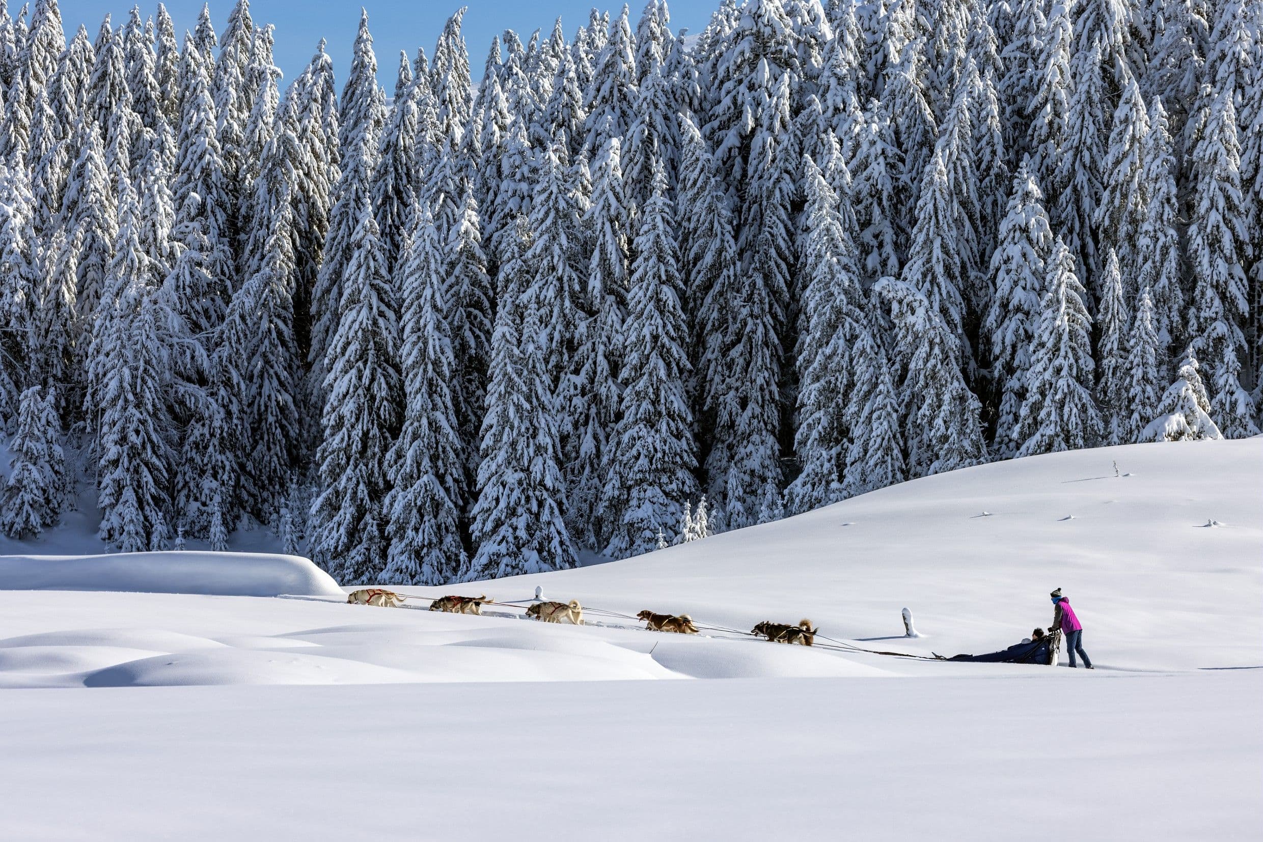 Balade avec les Sentiers Nordiques. ©Stephane Godin, Jura Tourisme