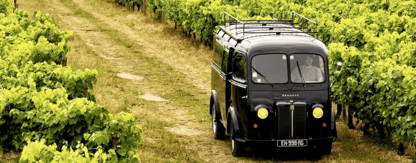 Safari dans les vignes, dégustation et découverte d'un domaine riche en expériences : c'est la promesse de la Maison Bourgoin Cognac. ©BourgoinCognac
