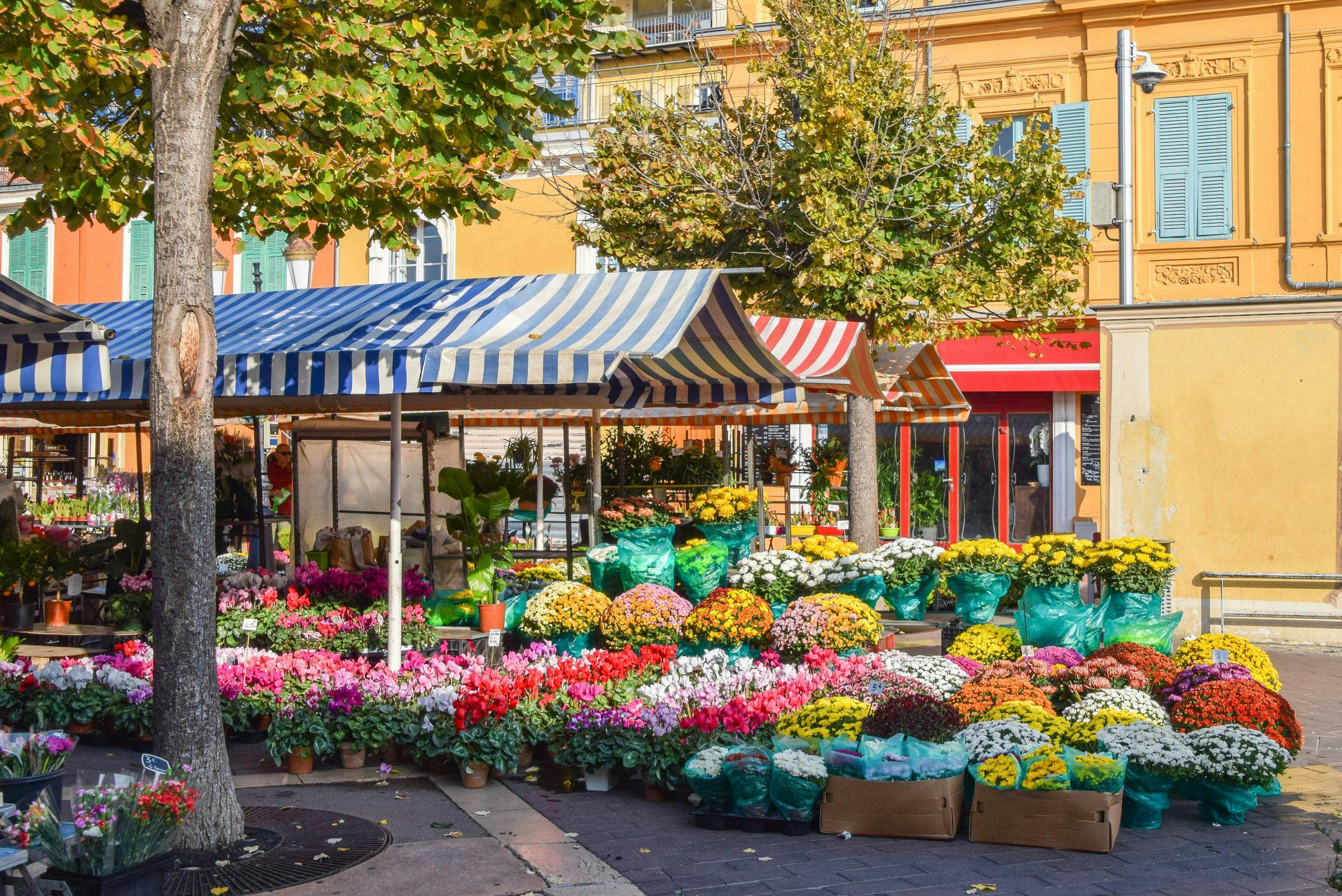 Marché aux fleurs du Cours Saleya © VV Shots 