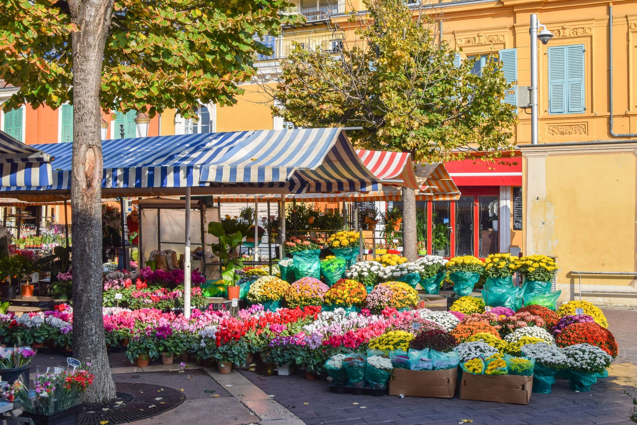 Marché aux fleurs du Cours Saleya © VV Shots