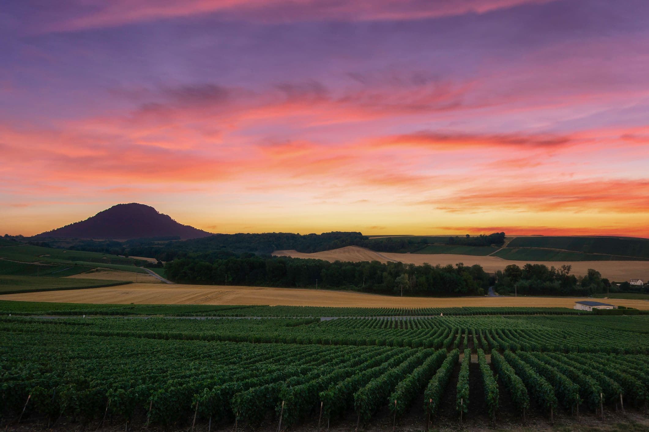 voyage reims nature champagne montagne paysage oenotourisme