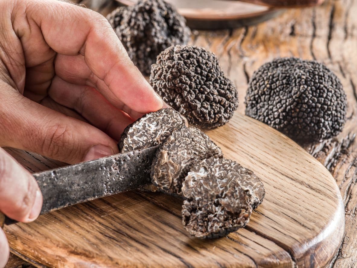 De décembre à février, c'est le moment de déguster la truffe noire du Périgord. ©ValentynVolkov