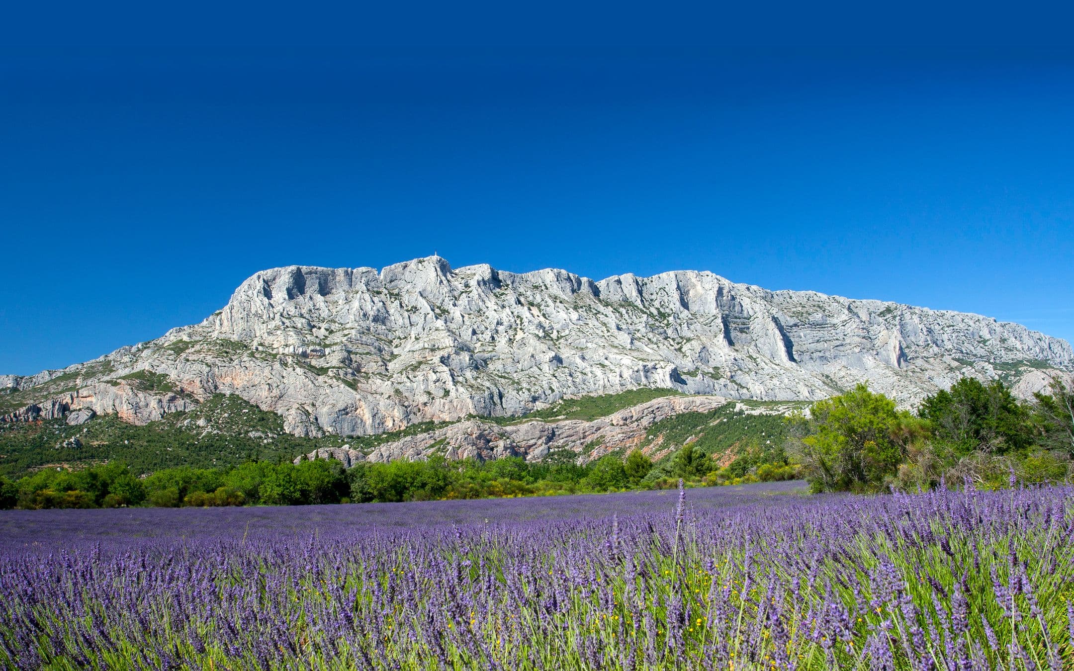 Une photographie de la montagne Sainte-Victoire pour illustrer notre quiz sur la ville d'Aix-en-Provence et le Pays d'Aix